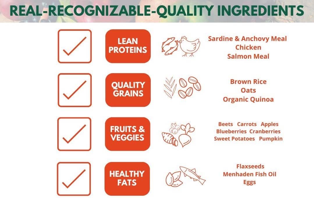 Bench & Field Holistic Natural Healthy Kitty Cat Treats | Crunchy Fish-Shaped Bites | Delicious Seafood Flavored Snack, 3-Ounce (Pack of 3 Bottles)