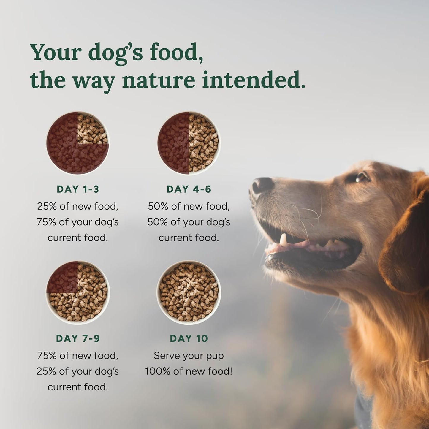 360 Pet Nutrition Freeze-Dried Raw Dog Food – Chicken Recipe with Liver & Organs, High Protein, Omega-3s, Fruits, Veggies & Superfoods, Grain-Free, No Fillers, 5 oz – Made in USA