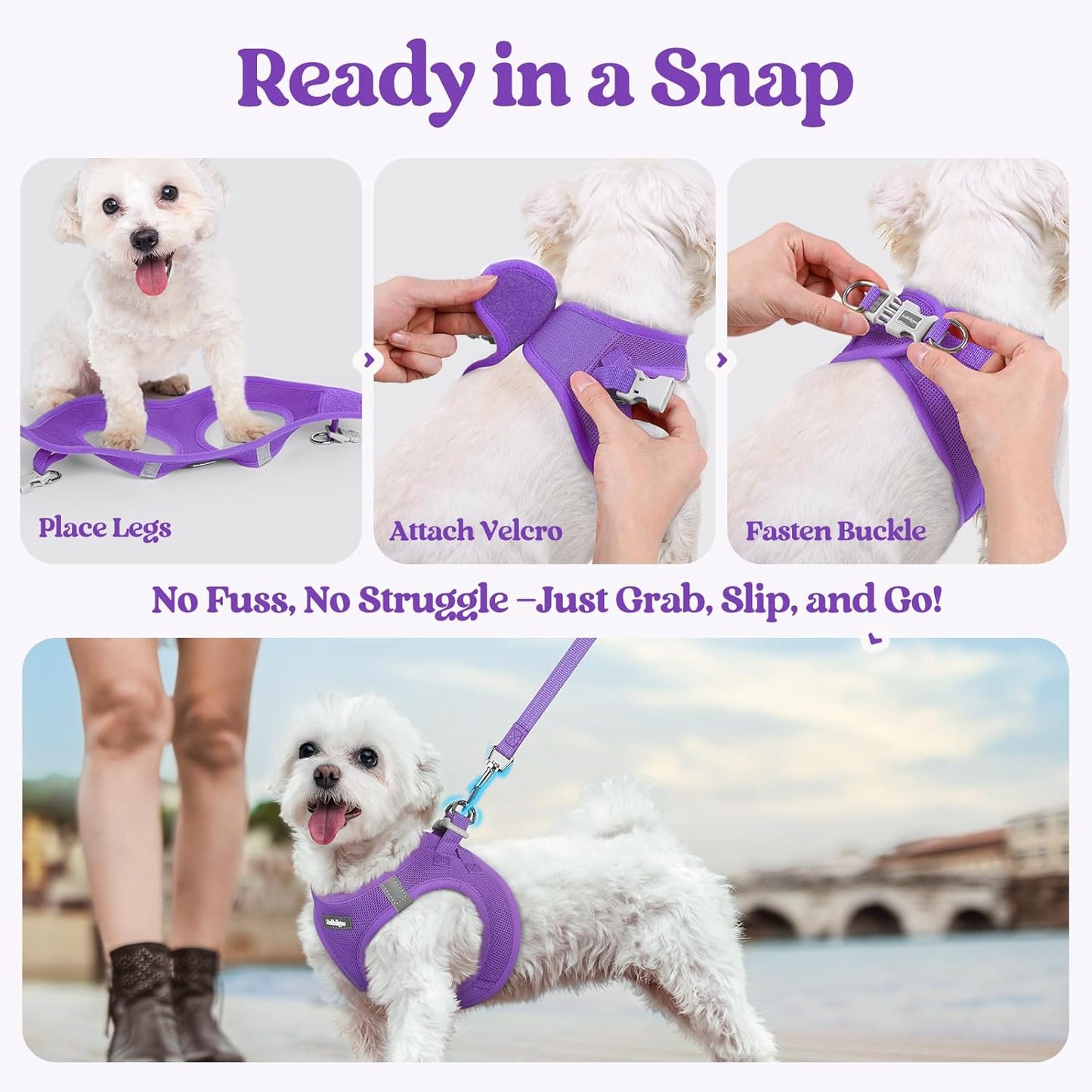 rabbitgoo Dog Harness Small Medium Sized and Leash Set, Step in Soft Light Puppy Vest, Breathable Mesh Pet Harness, Reflective for Safe Outdoor Walking, Purple L