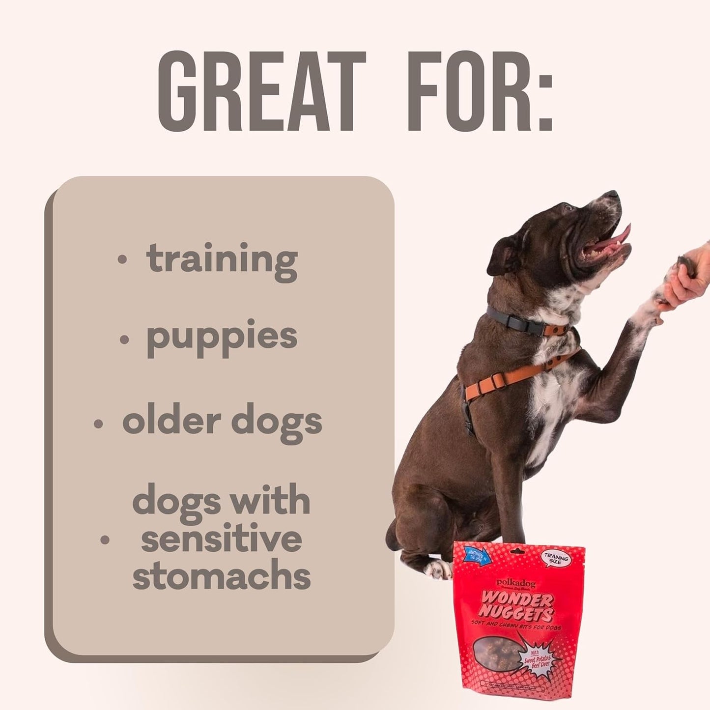 Polkadog Wonder Nuggets – Soft & Chewy Dog Treats with Sweet Potato & Beef – Healthy, Limited Ingredient Training Treats for All Dog Breeds and Ages – Natural, Made in USA – 10 oz