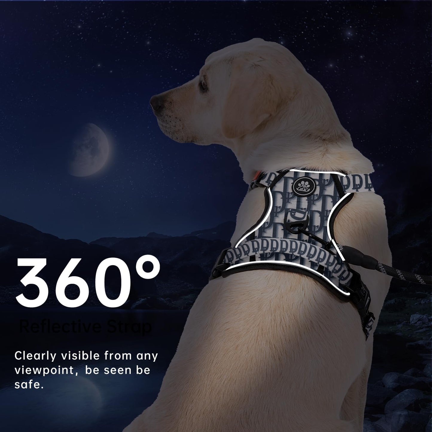 IVY&LANE No Pull Dog Harness with Leash Set, Reflective No Choke Pet Vest,Adjustable Oxford Dog Vest Harness with Easy Control Handle for Small Dogs (Vintage Blue,S)