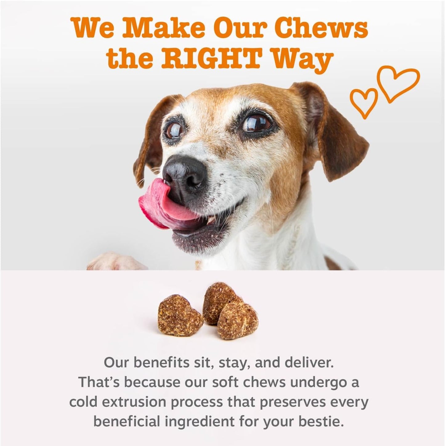 Zesty Paws Dog Multivitamin, Chewable Dog Vitamins and Supplements for Hip & Joints, Skin & Coat, Omega 3 Fish Oil for Dogs- Senior & Puppy Multivitamin- Peanut Butter- 50ct