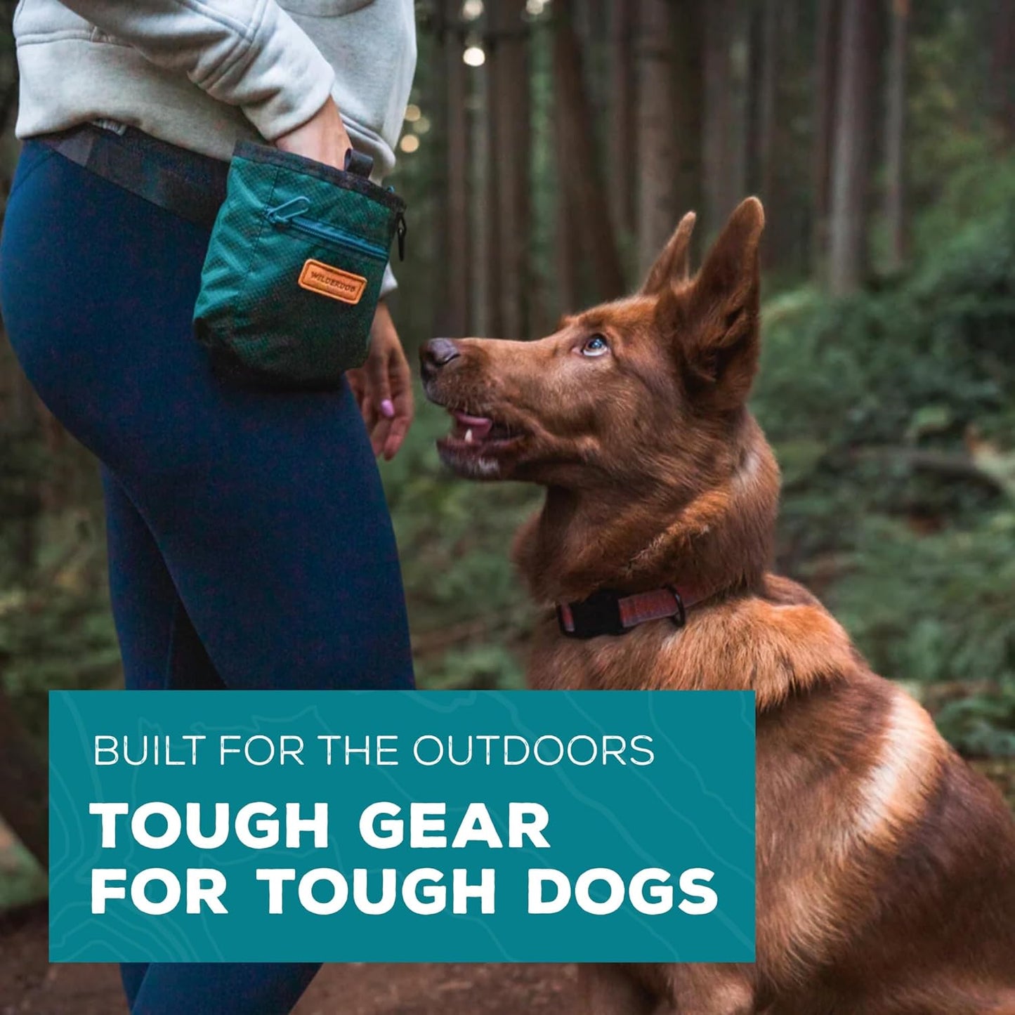 Wilderdog Dog Training Treat Pouch with Magnetic and Zipper Closure, Carabiner Attached, Adjustable Waist Strap - Cinnabar