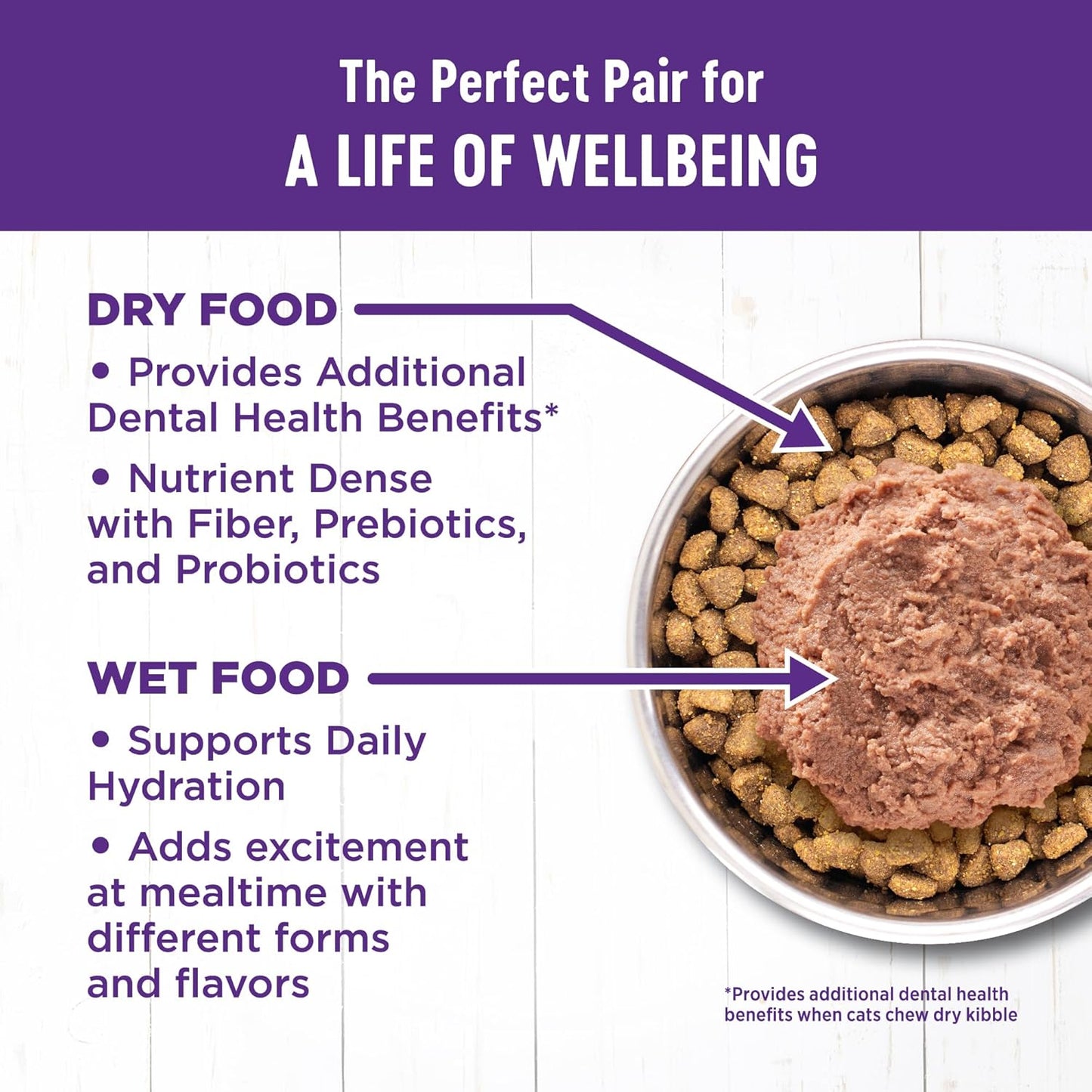 Wellness Complete Health Pate Adult Wet Cat Food, Natural, Protein-Rich, Grain Free, 3 Ounce, 12 Pack, (Chicken & Turkey Favorites Variety Pack)