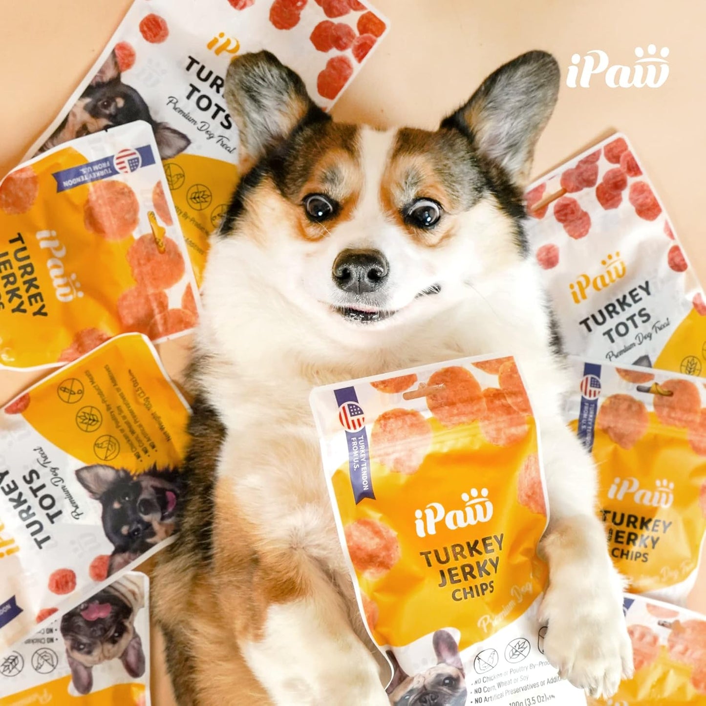 iPaw Chicken Tots Dog Treats for Puppy Training, All Natural Human Grade Dog Treat, Hypoallergenic, Easy to Digest (Chicken Tots)