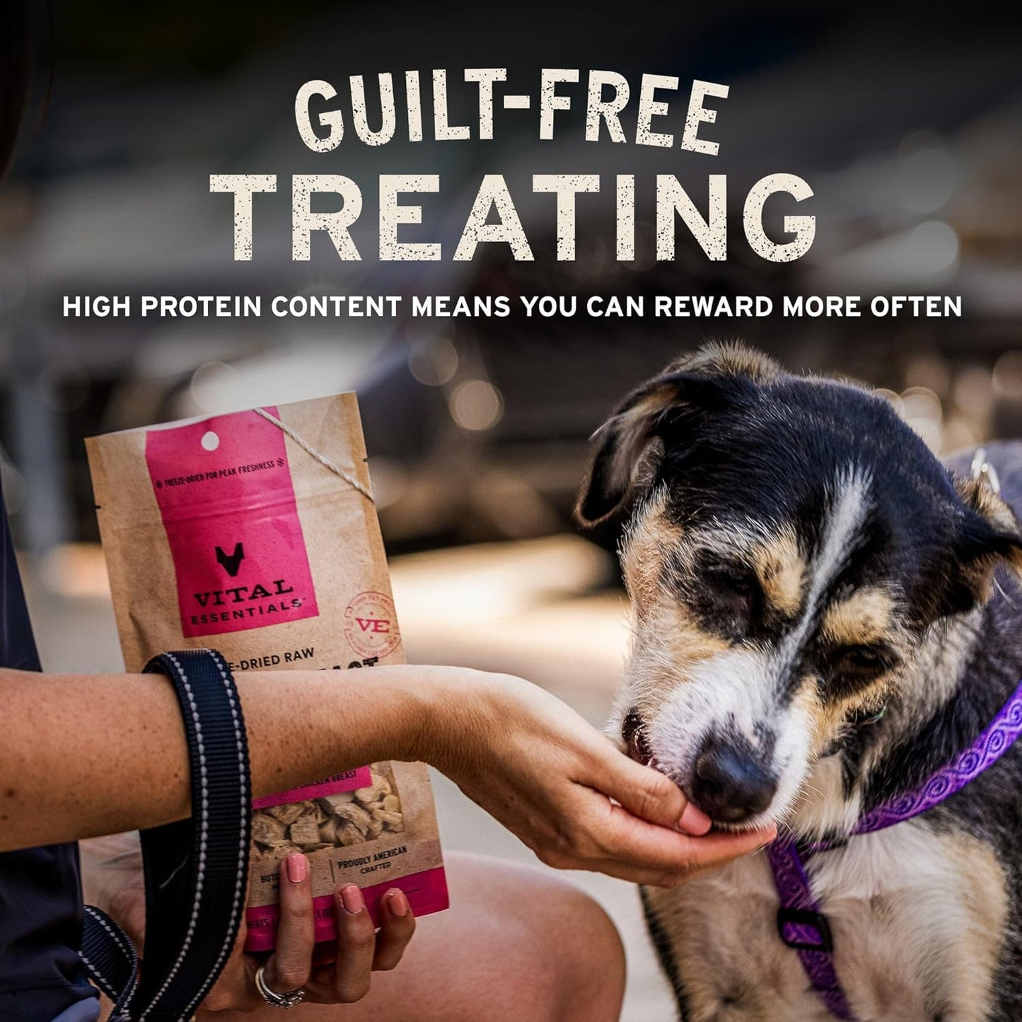 Vital Essentials Salmon Bites Dog Treats, 2.5 oz | Freeze-Dried Raw | Single Protein | Premium Quality High Protein Training Treats | Grain Free, Gluten Free, Filler Free