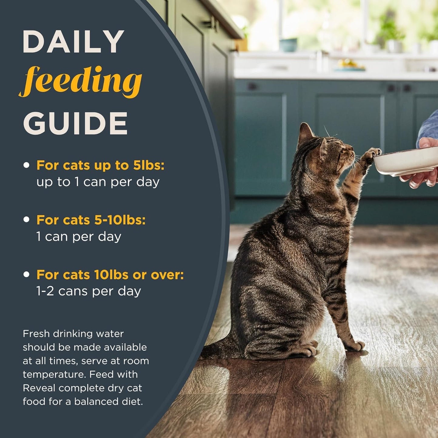 Reveal Natural Wet Cat Food, 18 Count, Grain Free, Limited Ingredient Cat Food Cups, Tuna with Shrimp in Broth, 2.12 oz Easy Peel Cups
