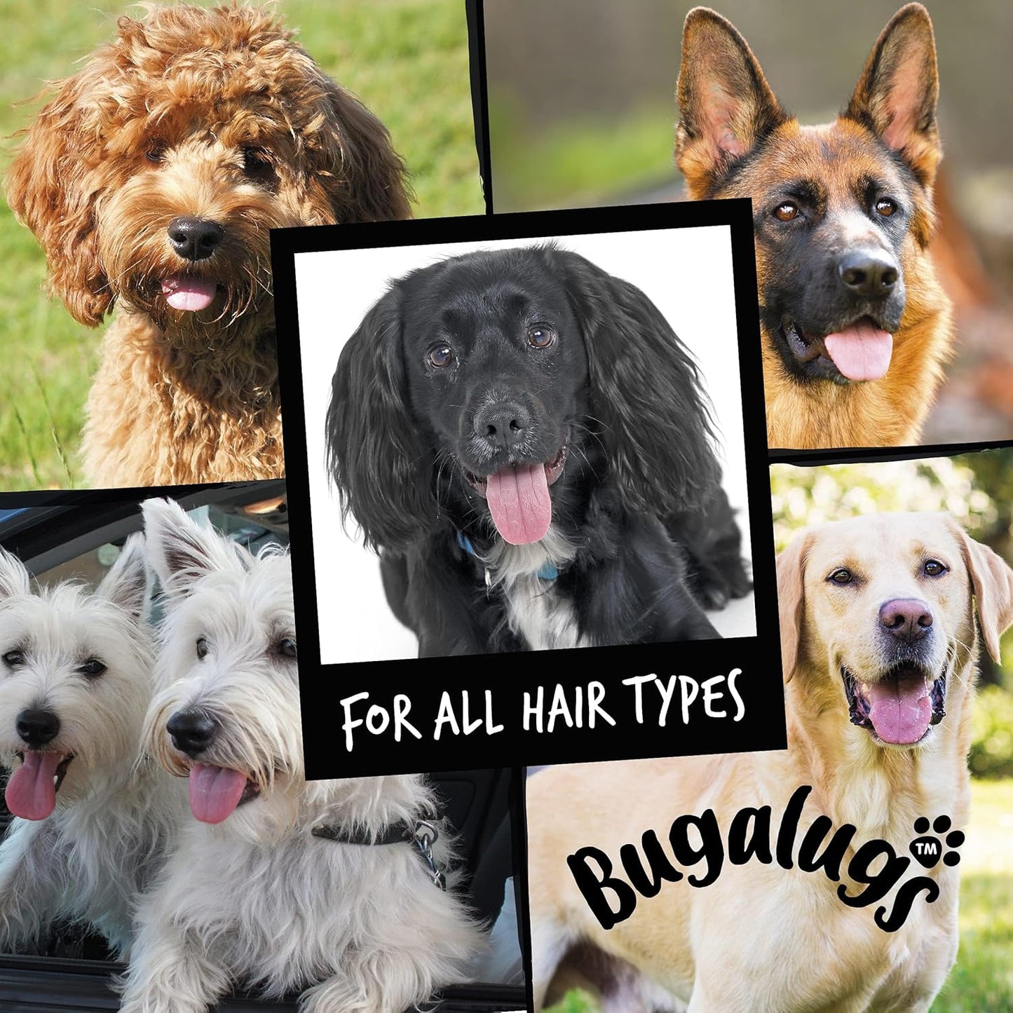 Dog Shampoo Luxury 2 in 1 Papaya & Coconut Dog Grooming Shampoo Products for Smelly Dogs with Fragrance, Best Puppy Shampoo, Professional Groom Vegan pet Shampoo & Conditioner