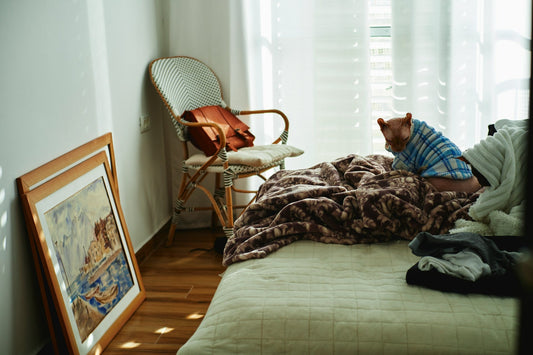Creating the Perfect Home Environment for Your Pet