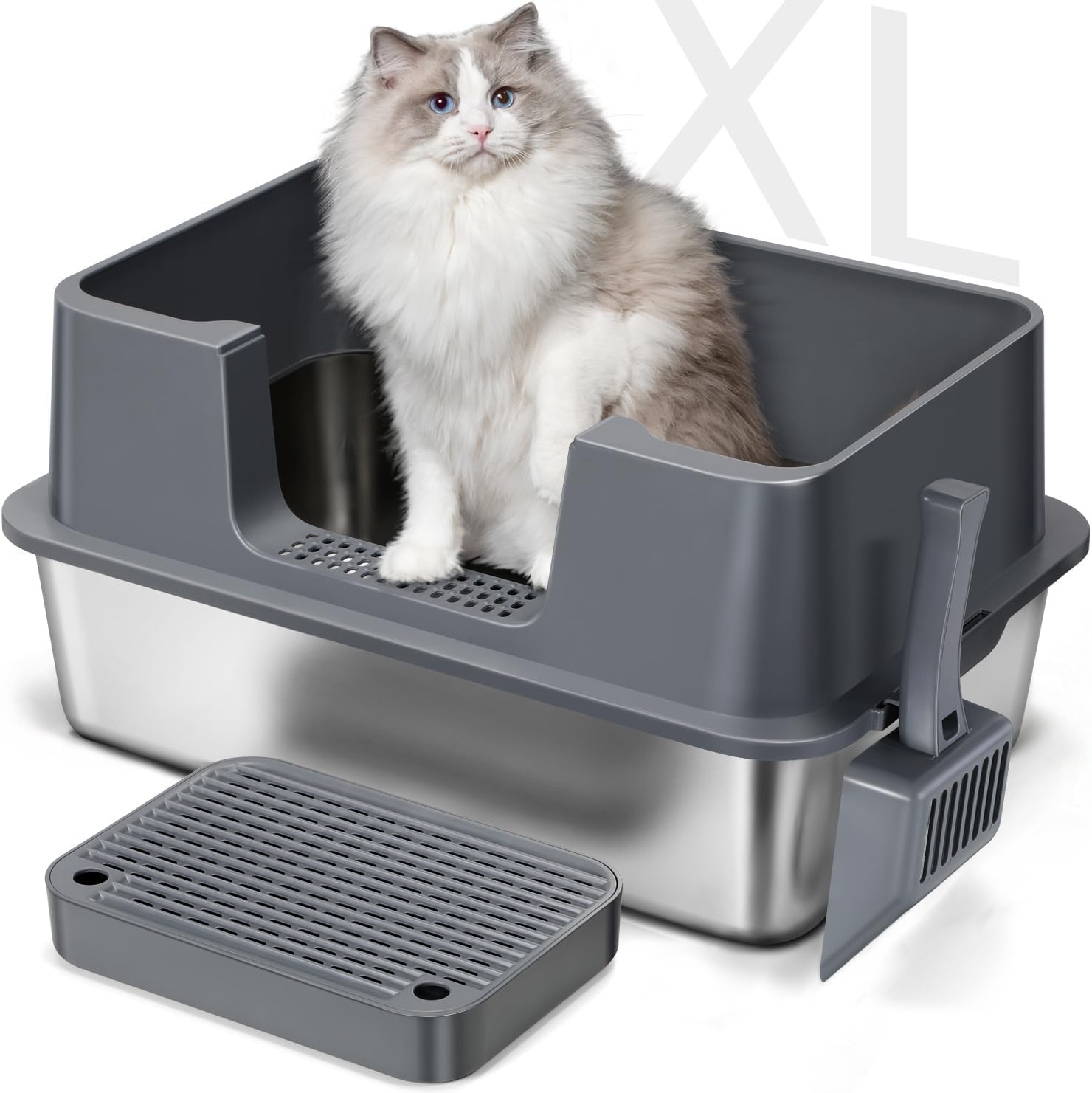 Litter & Housebreaking