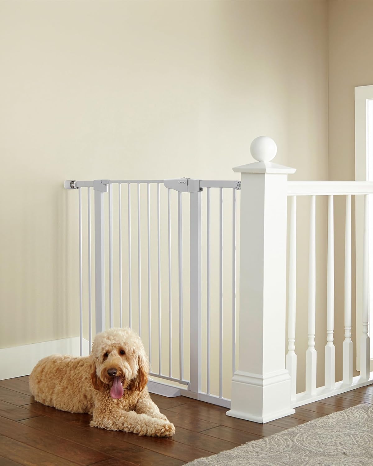 Gates & Gate Extensions