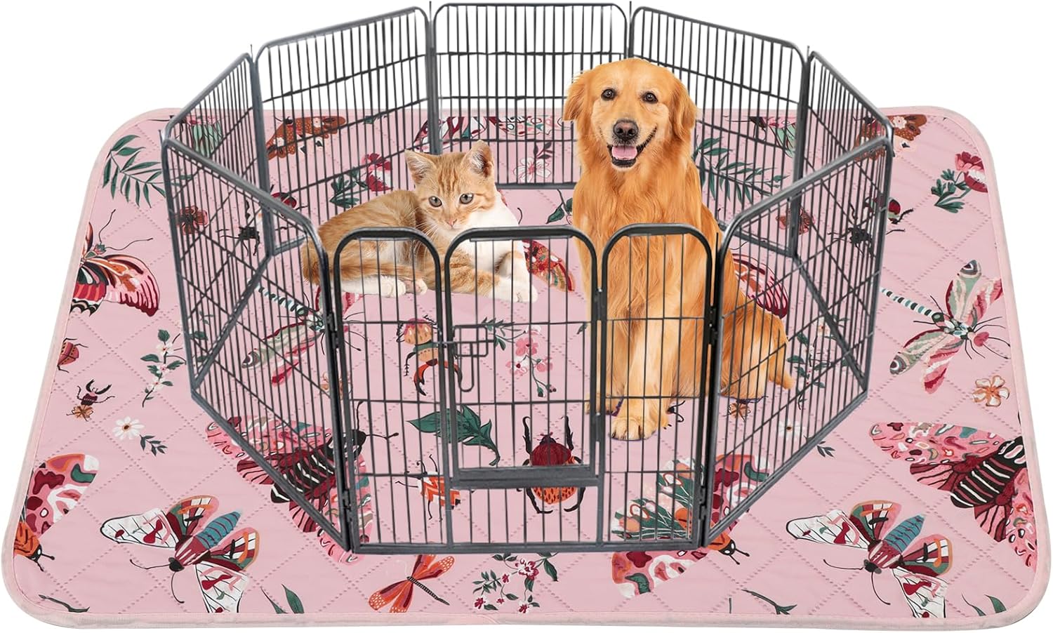 Litter & Housebreaking