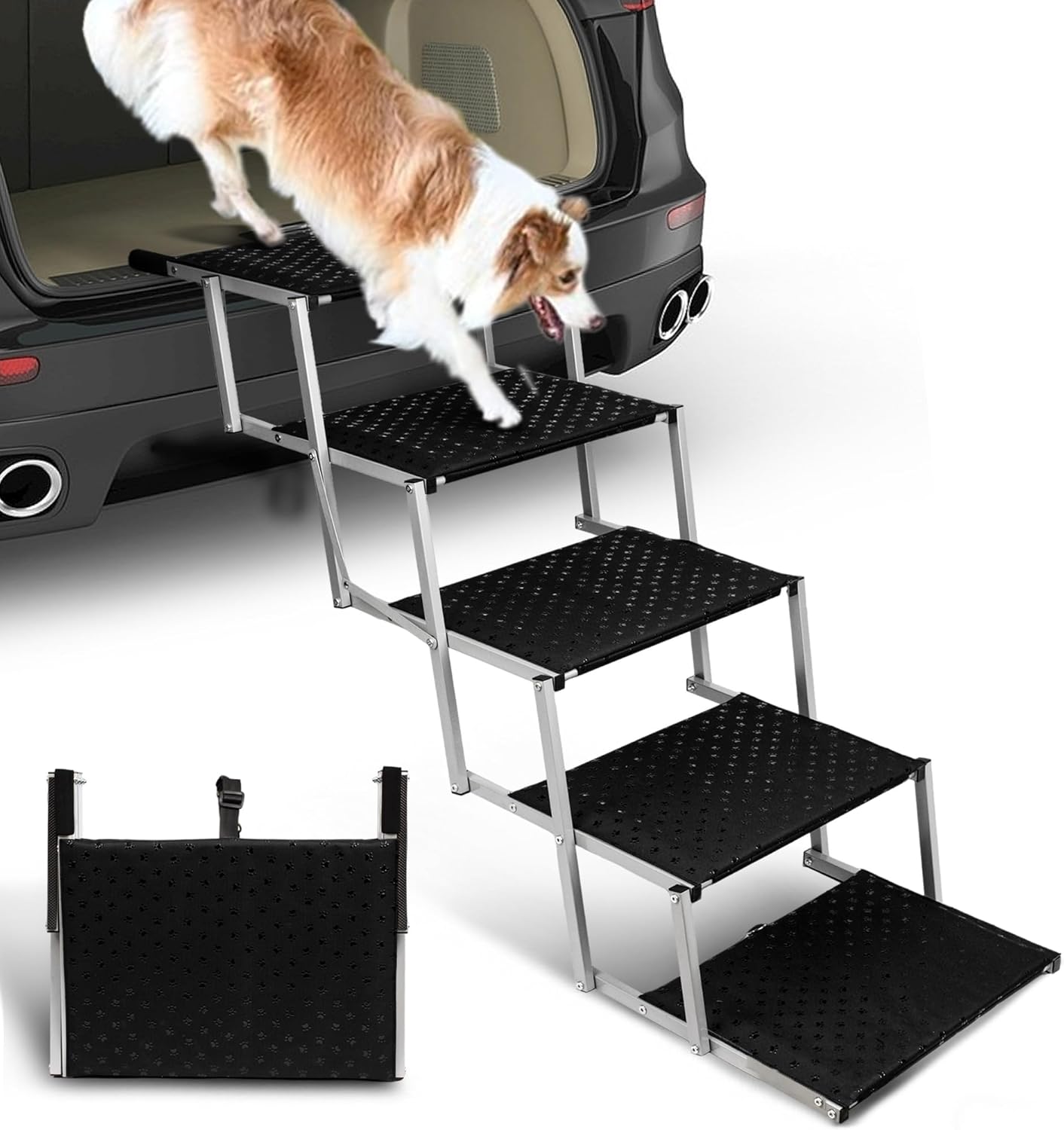 Carriers & Travel Products