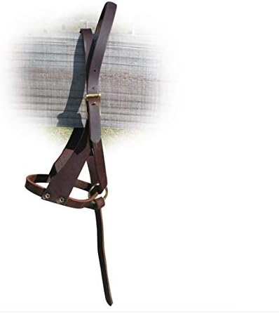 Leather Figure 8 Foal Halter | Newborn, Foal, Mini Pony Halter | Brown with Removable Grab Strap and Two Size Crowns