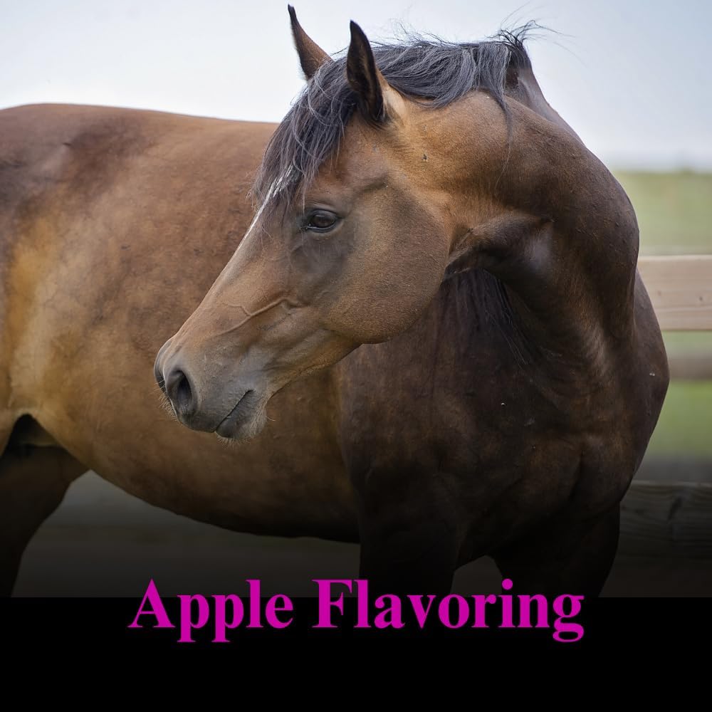 SU-PER Gain Weight for Horses - Equine Supplement Weight Gainer for Horses - Promotes Lean Muscle Mass, Digestion & Appetite - 10 Pound, 1 Month Supply
