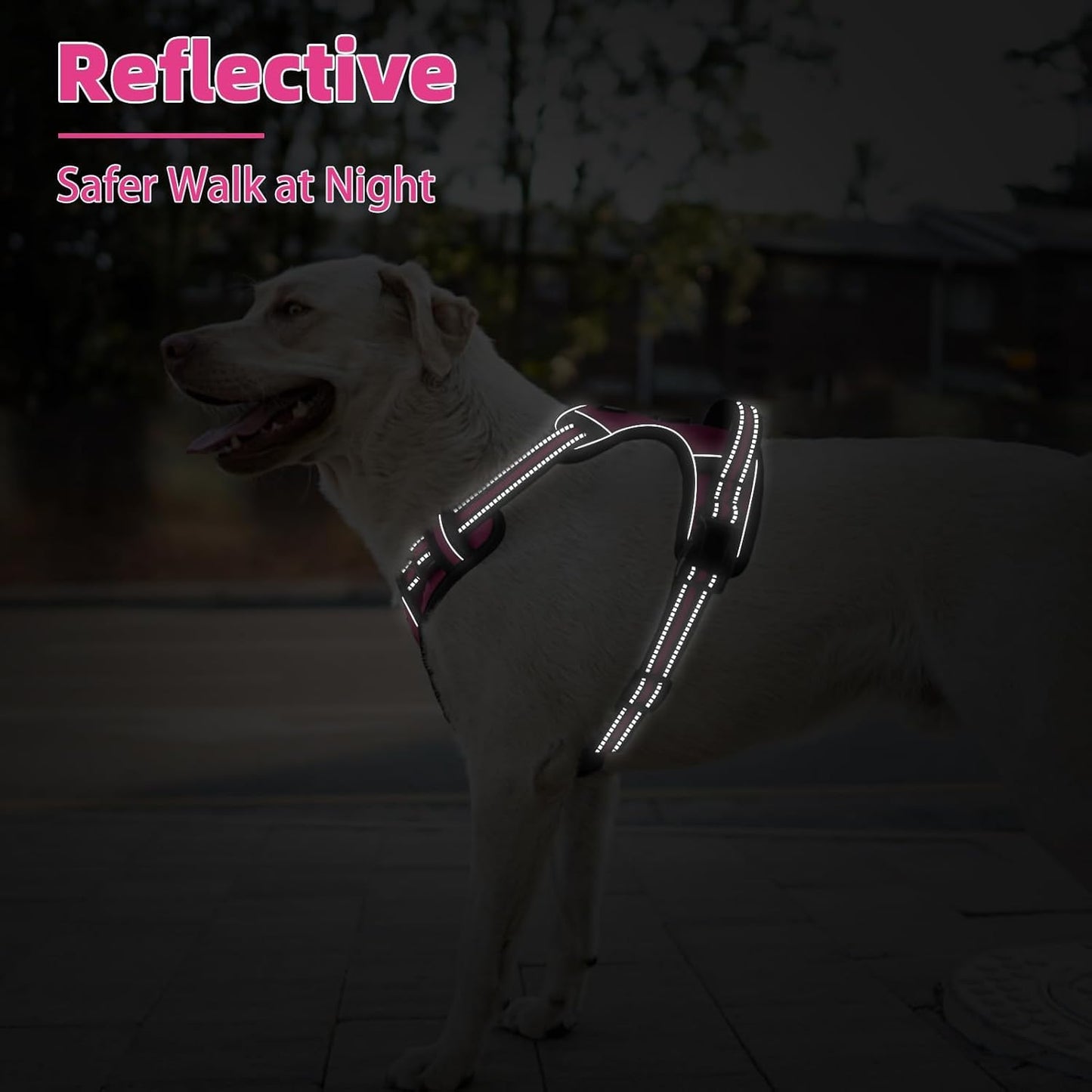 PUPTECK No Pull Dog Harness Medium Sized, Adjustable Reflective Dog Harness with Handle Easy Control, Comfortable Soft Padded Pet Vest Harness for Medium Dogs, Fuschia M