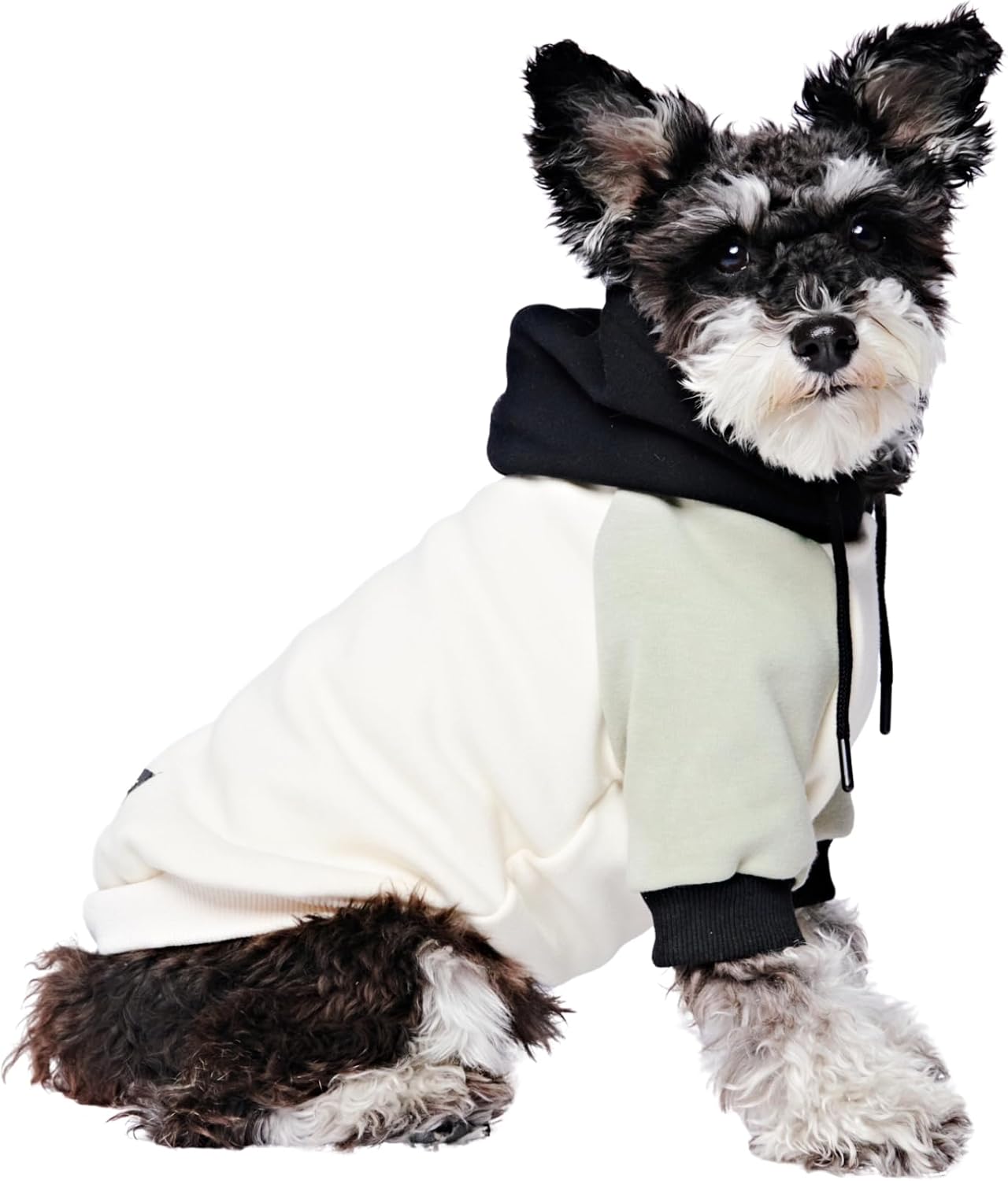 Spark Paws Dog Hoodie – Premium Dog Sweater for Small, Medium, and Large Dogs | Warm Outfits for French Bulldogs, Pitbull, Puppy, Winter Jacket Alternative - Olive Cream - M