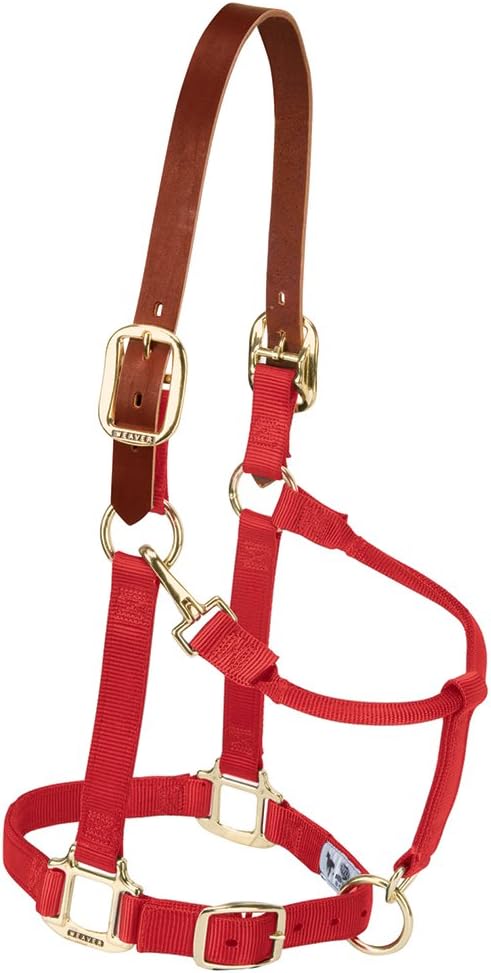 Weaver Equine Nylon Horse Halter, Triple-Ply Cheek Design, Original Non Adjustable Halters for Horses, Equine Tack,Average Size, Black