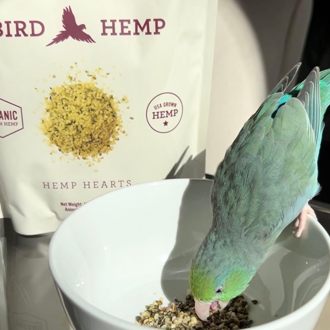 Hemp Well Organic Hemp Hearts –Reduces Feather Plucking, Promotes Relaxation, Immune Support, Organically Sourced, USA Grown, GMO Free – 1 Pound Bag