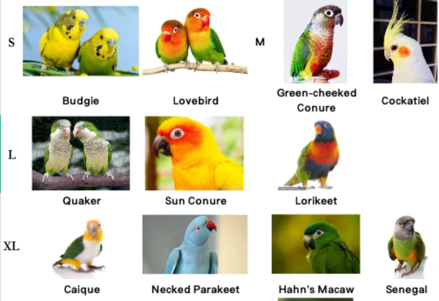 Pet Parrot Bird Harness Leash Adjustable Bird Flying Harness Traction Rope with Cute Wing for Parrots Pigeons Budgerigar Lovebird Cockatiel Mynah Outdoor Training Toy (S, Yellow)