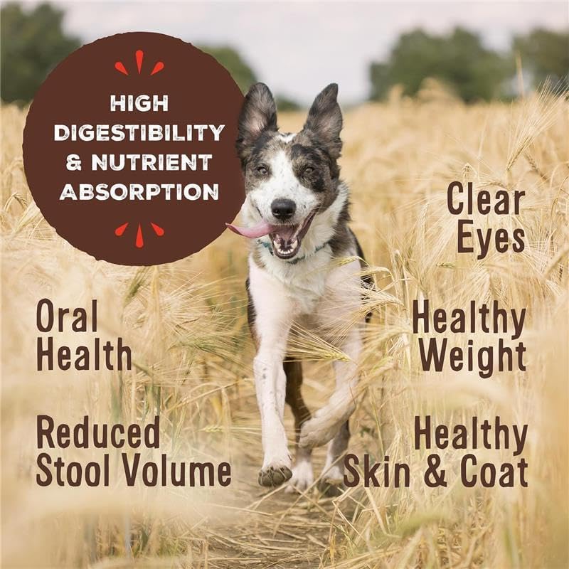 Primal Freeze Dried Raw Dog Food Nuggets, Pork, Complete & Balanced Meal, Also Use as Topper or Treat, Premium, Healthy, Grain Free, High Protein Raw Dog Food, 5.5 oz