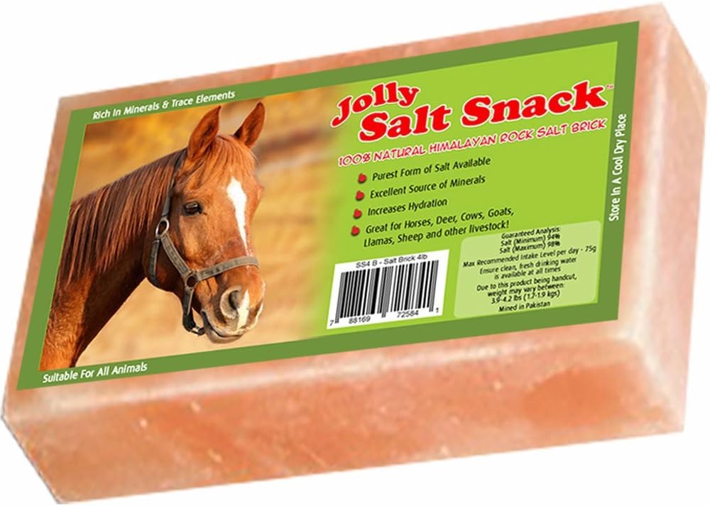 Horsemen's Pride 100% Himalayan Salt Brick, 4 Pounds