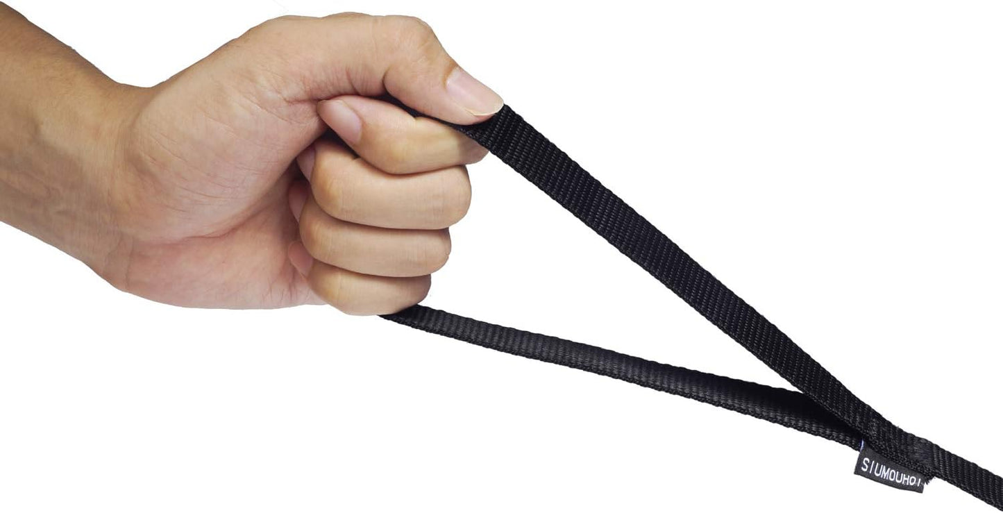Dog/Puppy Obedience Recall Training Agility Lead - 15ft 20ft 30ft 40ft 50ft Training Leash - Great for Play, Camping, or Backyard - Black 40ft (40Feet, Black)