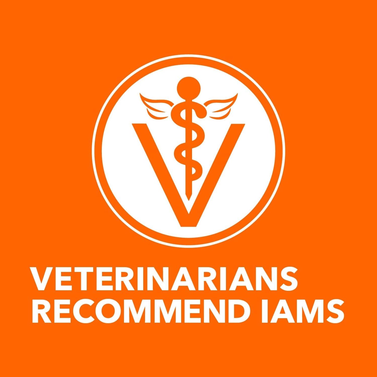 IAMS Proactive Health Adult Sensitive Digestion & Skin Dry Cat Food with Turkey, 6 lb. Bag