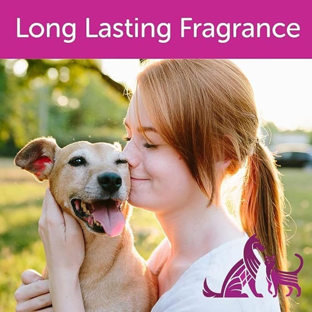 Nootie Daily Spritz Pet Conditioning Spray - Dog Conditioner for Sensitive Skin - No Parabens, Sulfates, Harsh Chemicals or Dyes - Revitalizes Dry Skin & Coat, Japanese Cherry Blossom, 16 oz(473 ml)