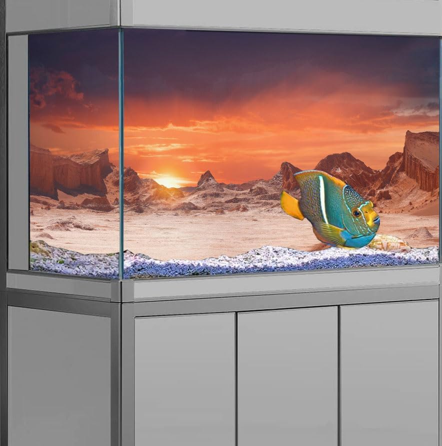 30X12IN Sun and Desert Moon Themed Reptile Habitat on Orange Durable Decorative Background, Terrarium Background with 10EVA Double-Sided Tape