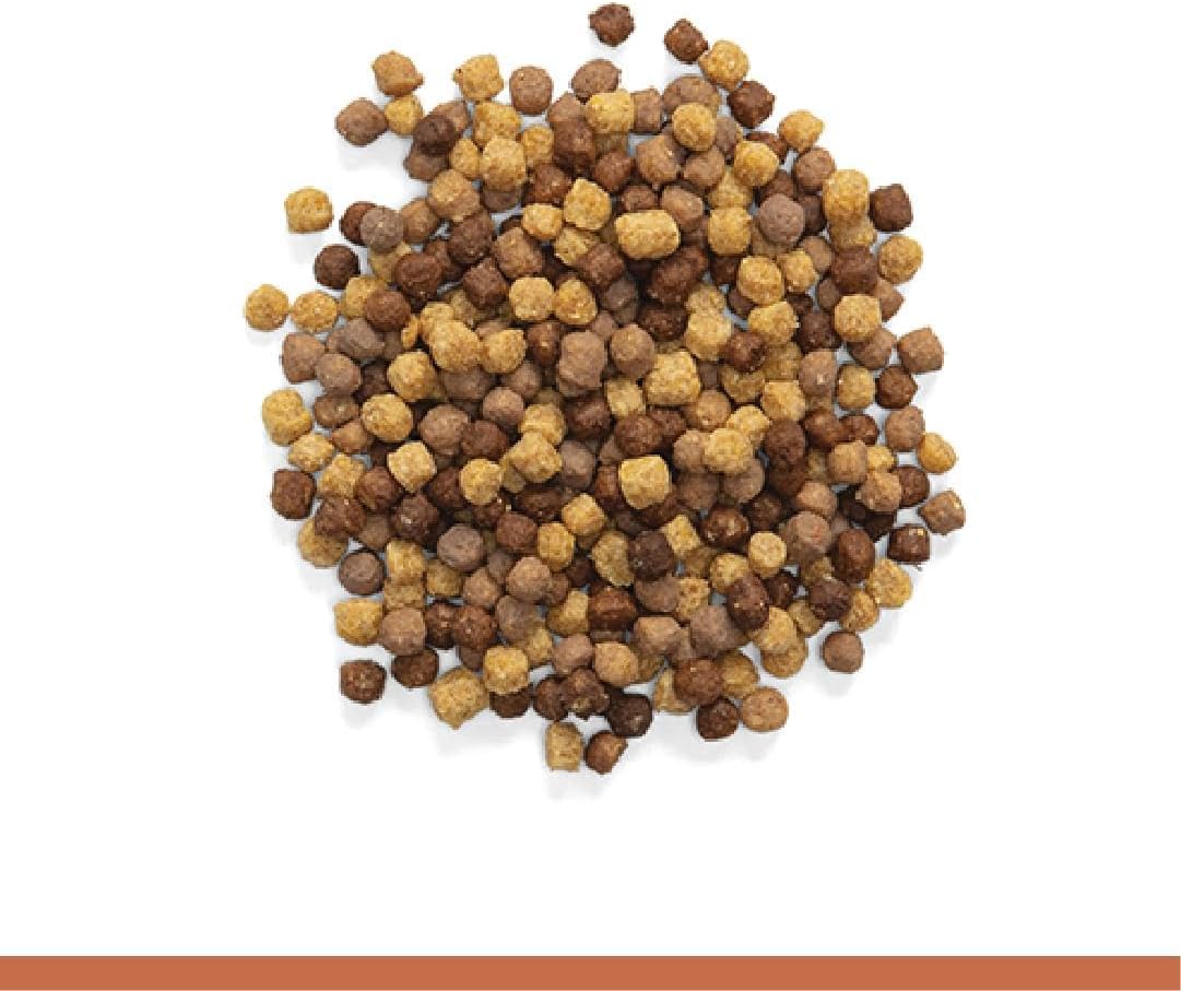 ZuPreem NutBlend Bird Food, Bird Feed for Cockatiel, Lovebird, Quaker, Small Conure, Lorikeet, ZuPreem Core Nutrition, Made in USA, No Waste, Natural Ingredients, Cockatiel Food, (Medium, 2 lb bag)