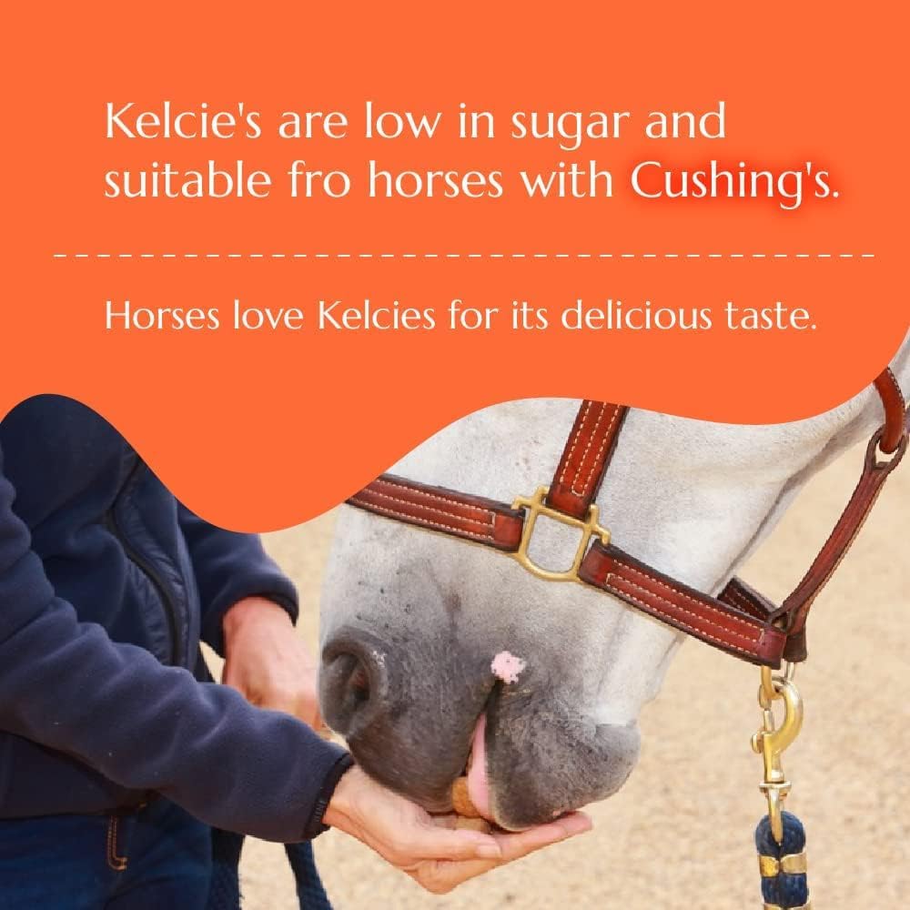 Horses Treats - Low Sugar, Starch, and Carbohydrates | Healthy Treats for Horse Supports Superior Digestion 1 Pound (Pack of 1)