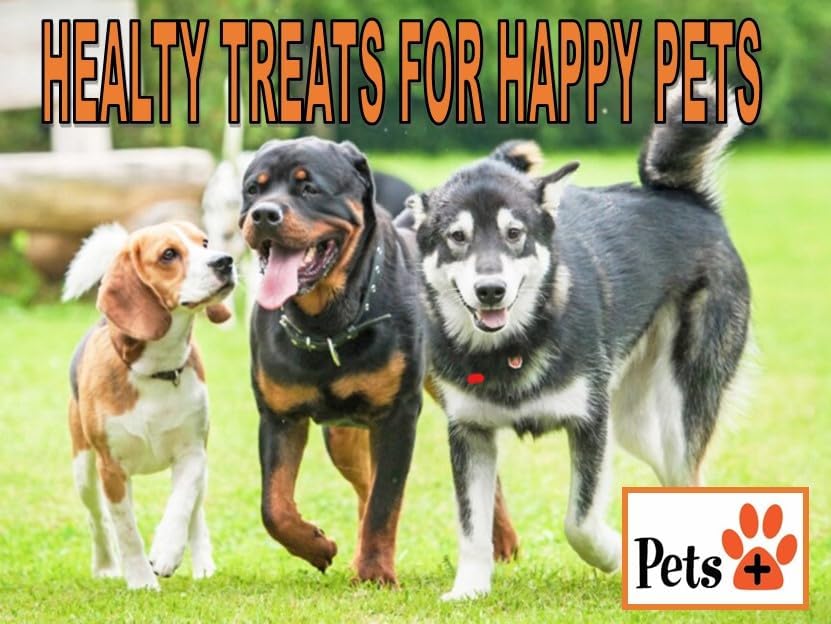 Pets Plus Premium Dog Treats – 5 Pack Thick Bully Sticks | All-Natural, Long-Lasting Dog Chews, High-Protein Healthy Treats for Small, Medium & Large Dogs