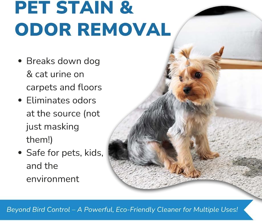 Bird Barrier Dissolve-It Max Enzyme Cleaner - Mix with Water – Bird Dropping Cleaner - Dissolves Waste – Treat Affected Areas Before Installing Bird Control Products - Bird Cage Cleaner - 1 Quart