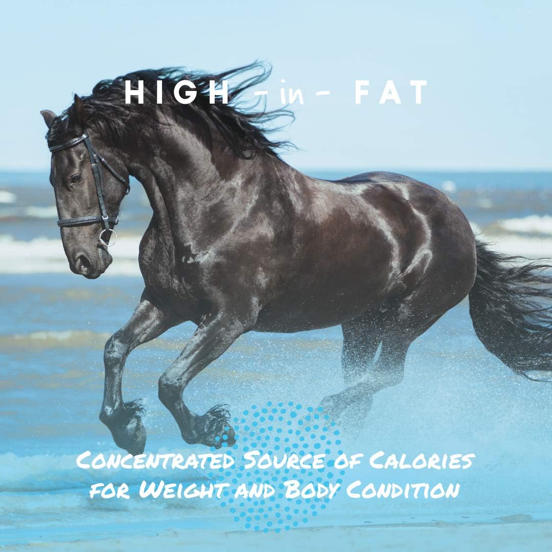 Manna Pro Cool Calories 100 – Equine Fat Supplement for Horses, Supports Healthy Weight Gain, Muscle Maintenance & Shiny Coat, Concentrated Dry Fat Calorie Booster, Low-Starch Formula, 8 lb Bag