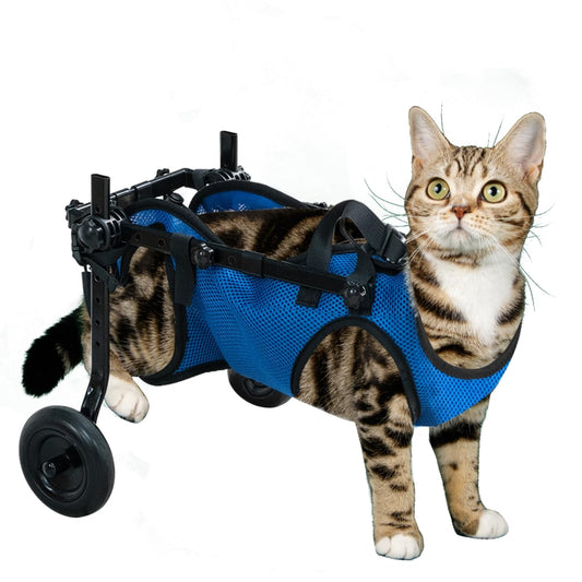 Pet Wheelchair Dog Leg Brace and Hip Support， Wheelchair for Back Legs，Adjustable Pet Cart，Assist a paralyzed pet get Back on its feet，Support Leg Brace and Hip (Extra Small)