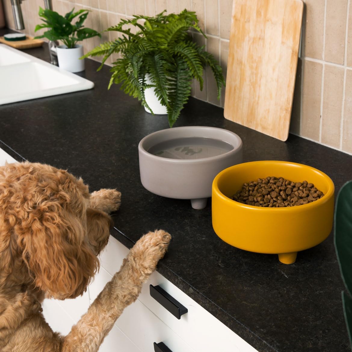 Waggo Uplift Ceramic Dog Bowl for Small Medium and Large Breeds - Heavyweight and Durable Pet Food and Water Dish Crock, Dishwasher Safe, Modern, Elevated Feeder (Olive, Small)