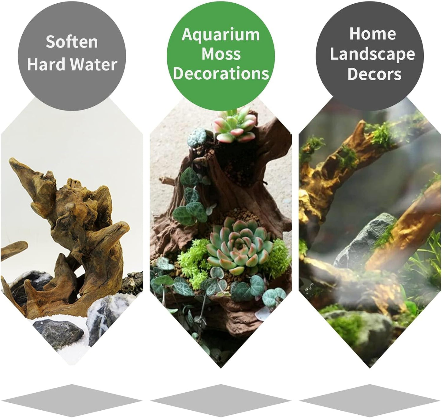 Hamiledyi 2 Pcs Large Driftwood for Aquarium 8-18 Inch Driftwood Branches Reptiles Aquarium Decoration Assorted Size Natural Habitat Decor Wood for Lizad