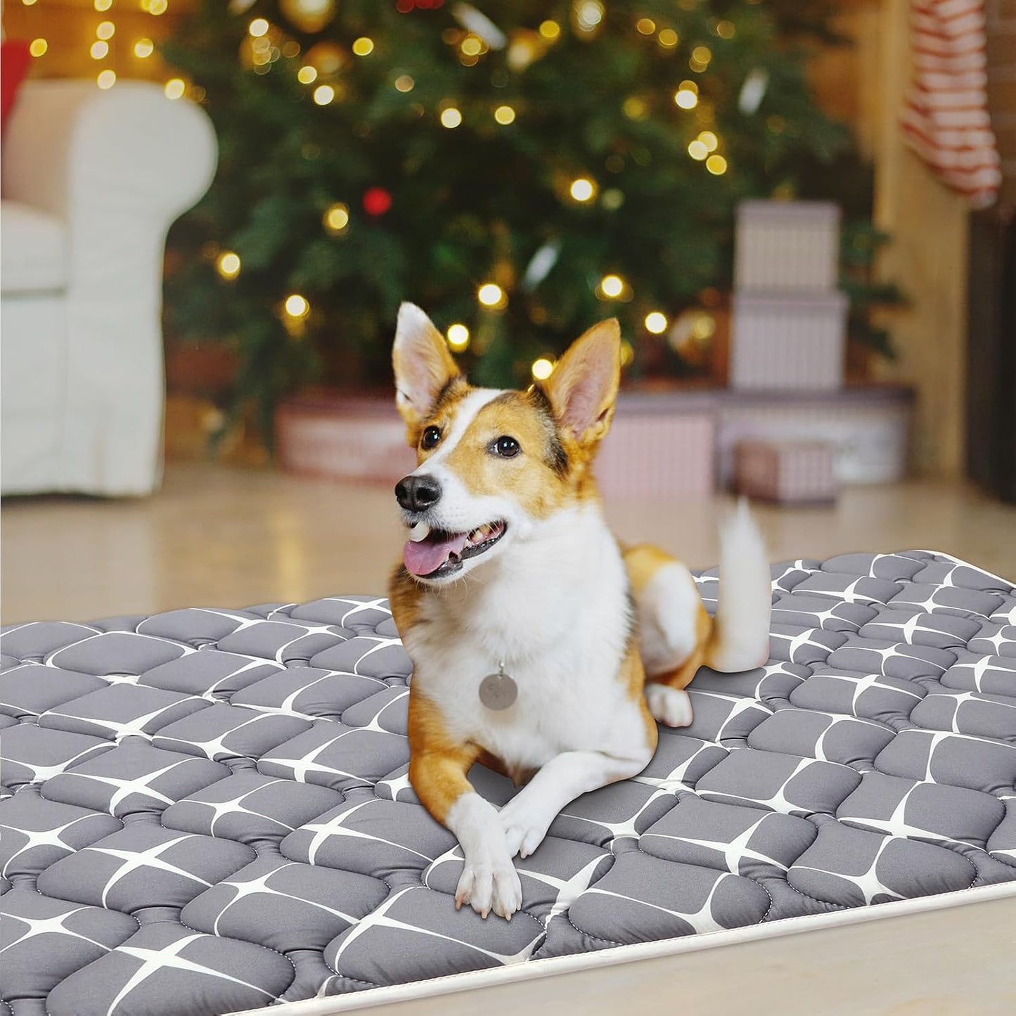 Bubble bear Dog Crate Mat - Ultra Soft, Washable & Anti-Slip Kennel Pad for Small/Medium/Large Dogs, Dark-Hued to Hide Stains (36"x23")