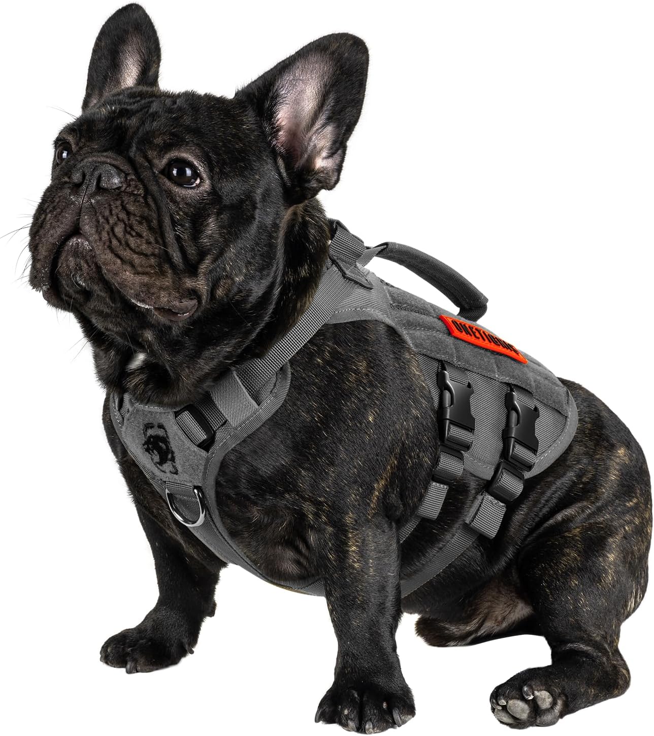 OneTigris Tactical Dog Harness for Small Dogs, No Pull Small Dog Vest Harness with Handles Breathable Military Dogs Molle Vests, Harness for Walking Hiking Training (Grey, XS)