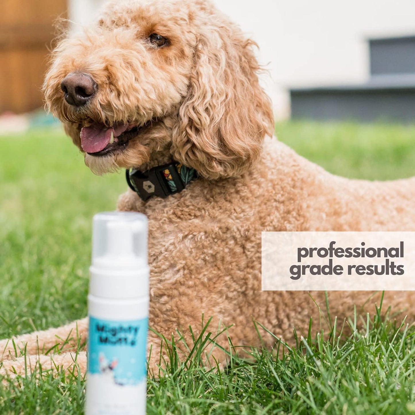 Mighty Mutt Hypoallergenic Waterless Shampoo for Dogs | Dry Shampoo for Dogs | Waterless Foam No Rinse | Anti-Itch, Soothing and Deodorizing | Fresh Breeze | 8 Fl Oz