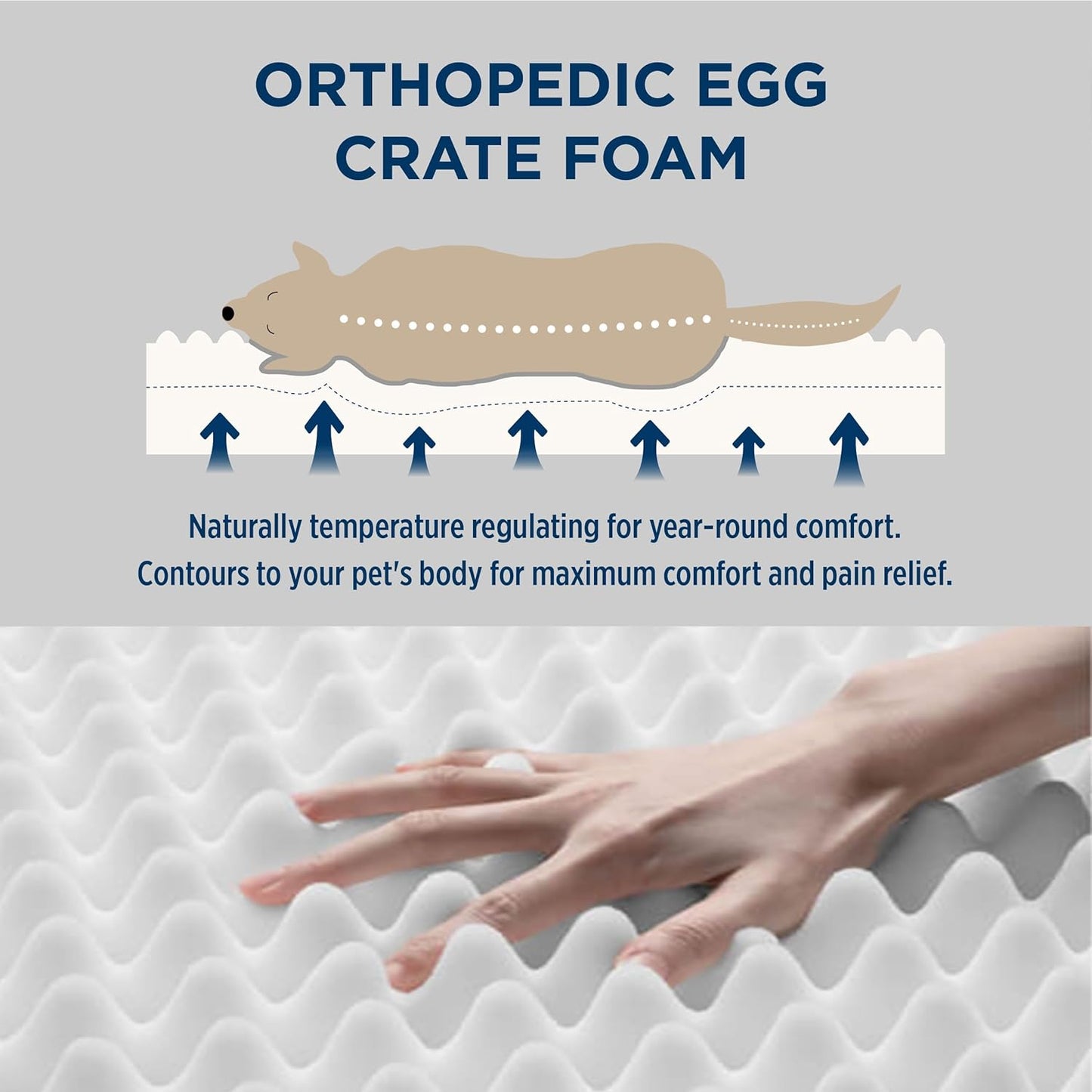 Bedsure Dog Bed for Small Dogs - Orthopedic Flat Puppy Beds with Removable Washable Cover, Egg Crate Foam Pet Mat, Suitable for Pet Up to 20 lbs
