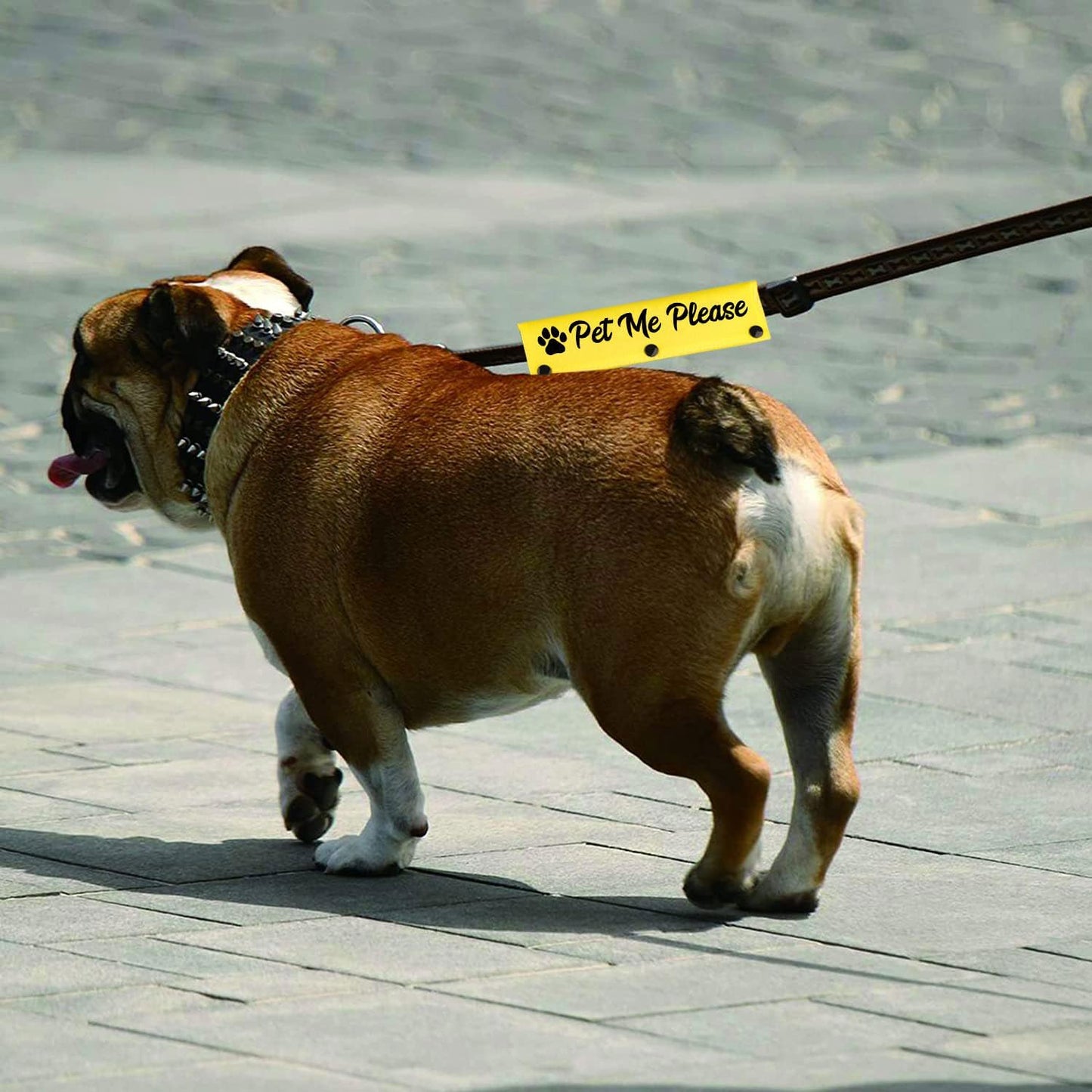 Funny Dog Leash Sleeve Pet Me Please Dog Leash Wrap Wrap Alert Hanging ID Patch Tag Pet Birthday Gift(Pet Me Please) (Pet Me Please-YE Sleeve)