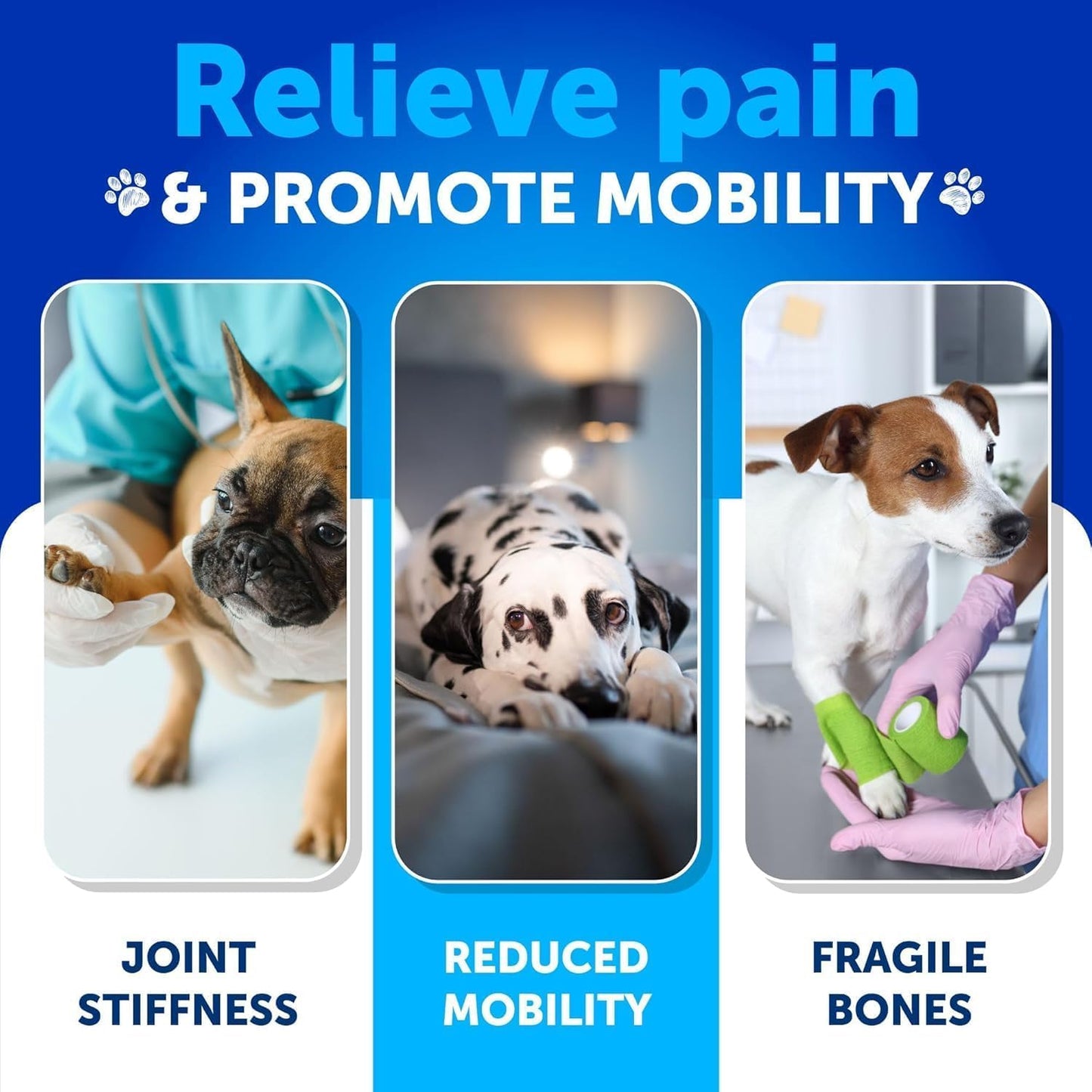 (2 Pack) Hemp Hip and Joint Supplement for Dogs - Glucosamine for Dogs Joint Pain Relief - Chews with Chondroitin, MSM, Hemp Oil - Mobility Support - Canine Cartilage Health - Made in USA