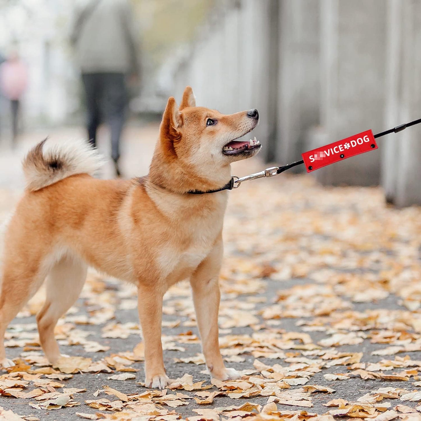 Advivio Funny Red Dog Leash Sleeve, Wrap Alert Hanging ID Patch Tag for Pet Walking and Training, Pet Birthday Gift