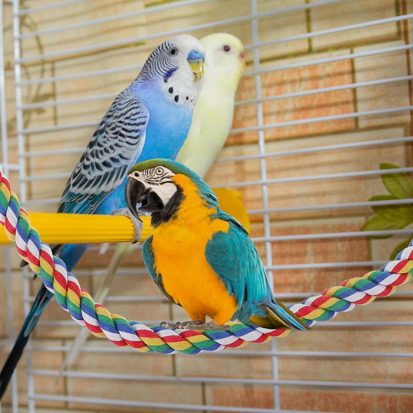 iplusmile Bird Rope Perches Toys for Parrots, Birdcage Spiral Swing Bungee Colorful Rope Toy for Parrots, Cockatiels, Parakeets, Budgie Cages Accessories (40inch)