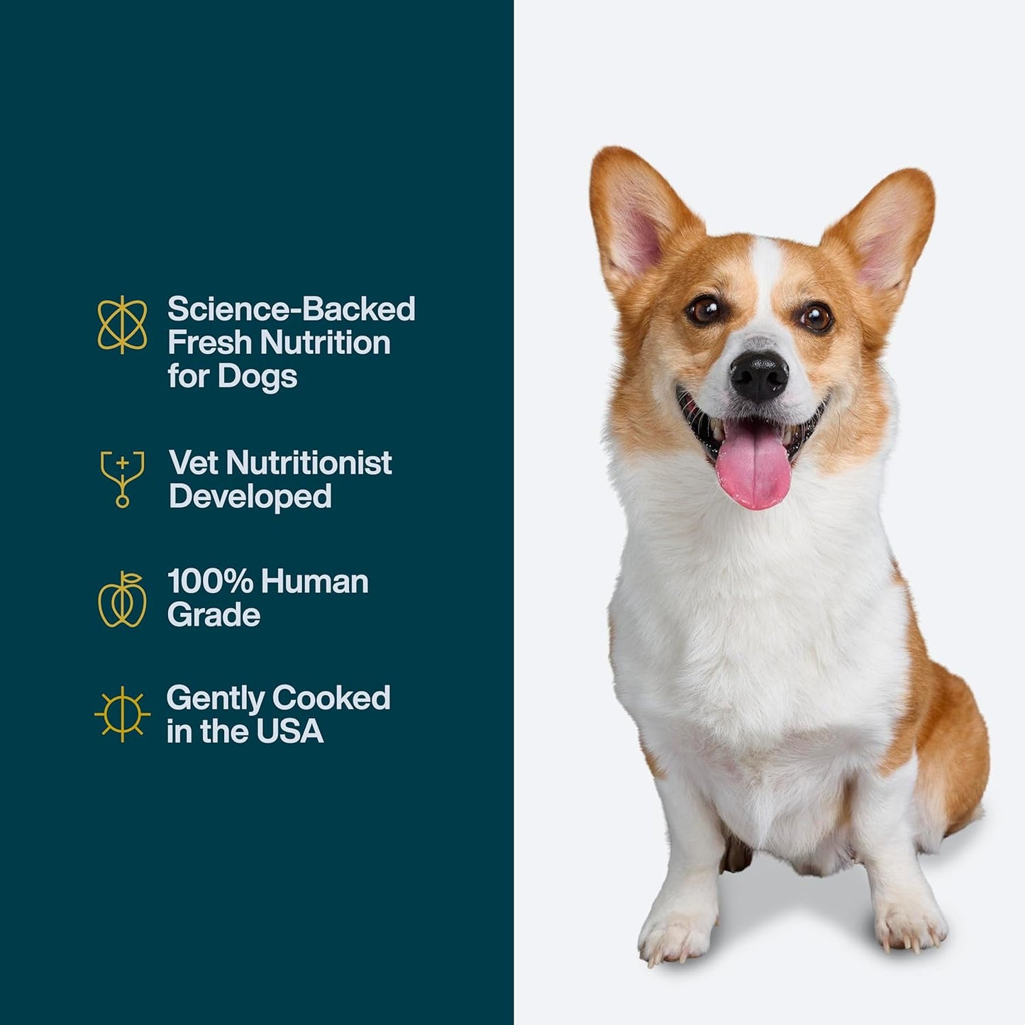 JustFoodForDogs Pantry Fresh Wet Dog Food, Complete Meal or Dog Food Topper, Beef & Russet Potato Human Grade Dog Food Recipe - 12.5 oz (Pack of 6)