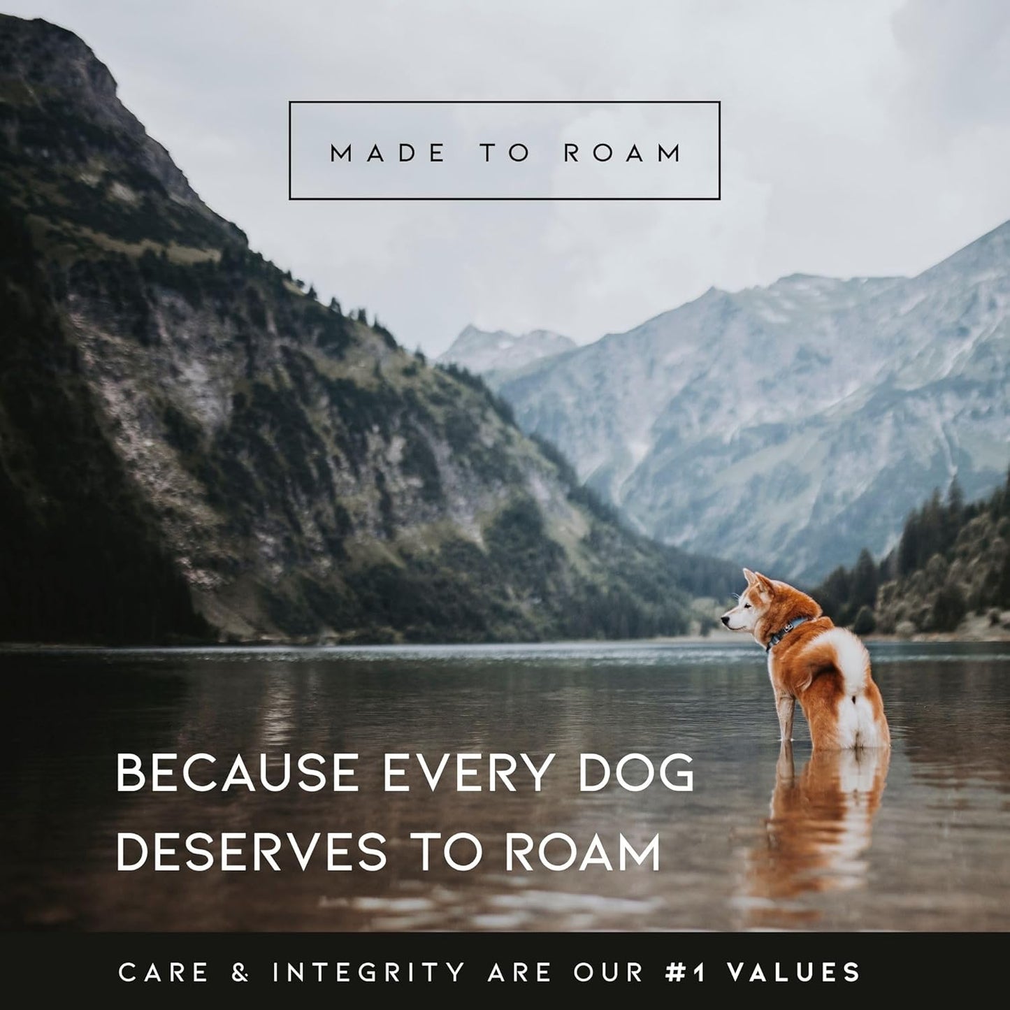 MADE TO ROAM Premium Explorer Harness - Y-Shaped Dog Harness with Adjustable Durable Nylon, Soft Padding, Metal Buckles and Leather Handle for Small, Medium, Large Dogs (Vermont Weekends, Size 2)
