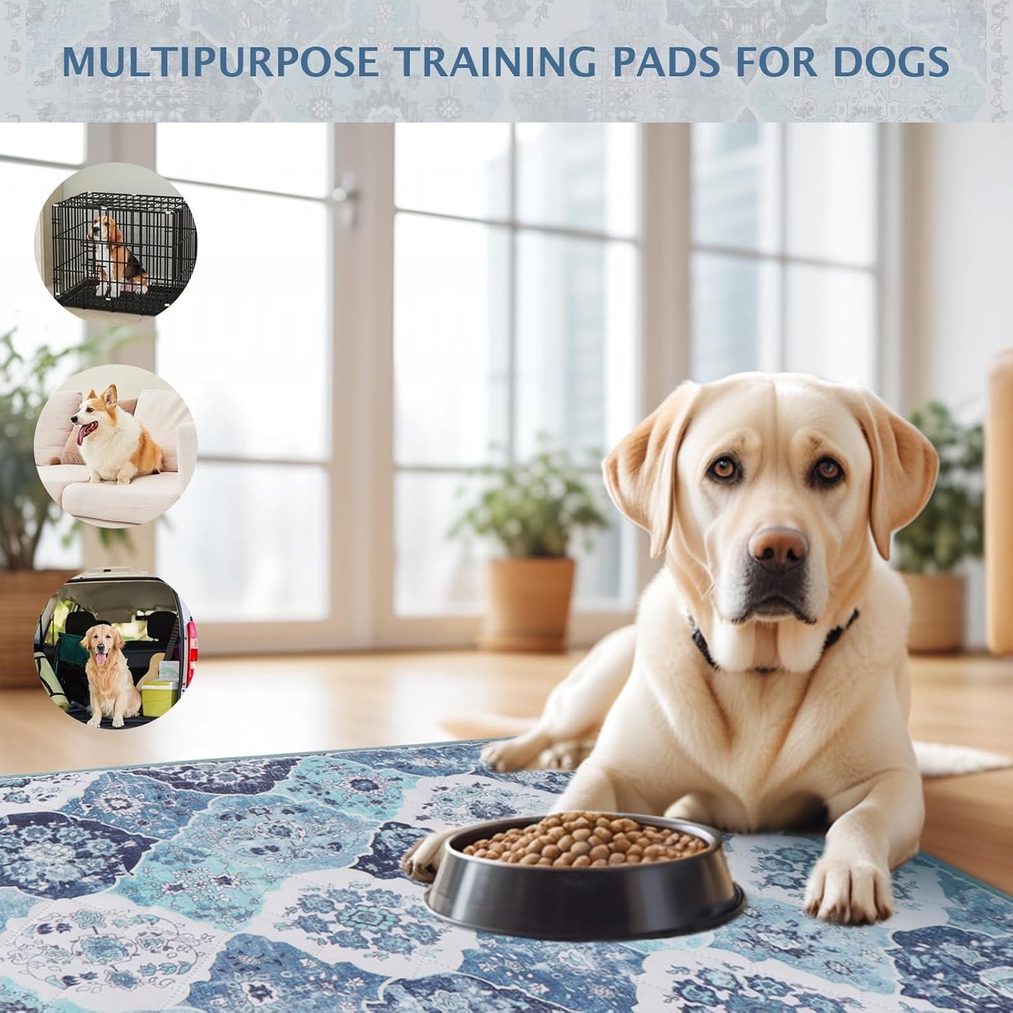 IEUUMLER Washable Pee Pads for Dogs, 2 Pack Reusable Non-Slip Grip, Super Absorbent Waterproof Puppy Pads for Potty Training, Playpen, Crate, Whelping Box EU011 (Blue, 36" x 36")