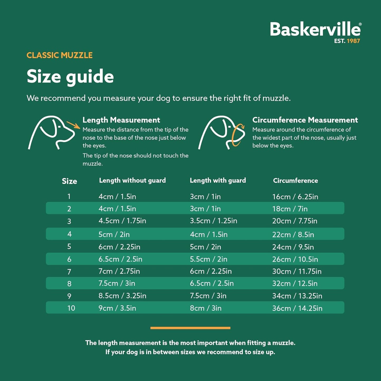 Baskerville Classic Basket Muzzle - Dog can Pant and Drink, Prevents Biting and Food Waste Scavenging, Strong TPR, Ideal for Longer Nosed Dogs, Breathable Dog Training Muzzle for Small Dogs (Size 2)